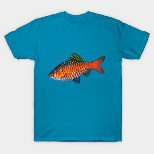 Odessa Barb T-Shirt